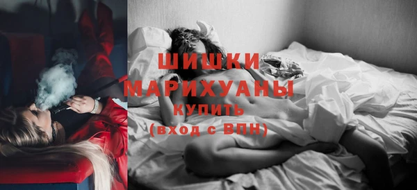 индика Нефтегорск