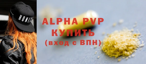 индика Нефтегорск