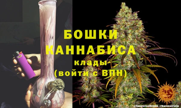индика Нефтегорск