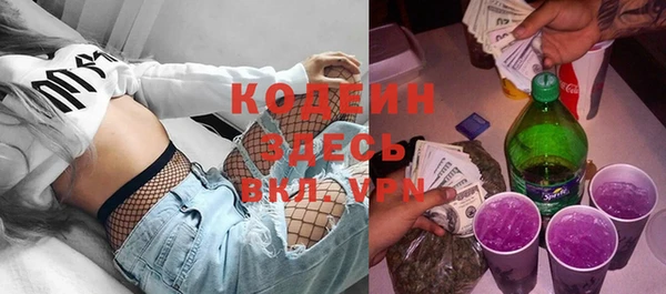 индика Нефтегорск