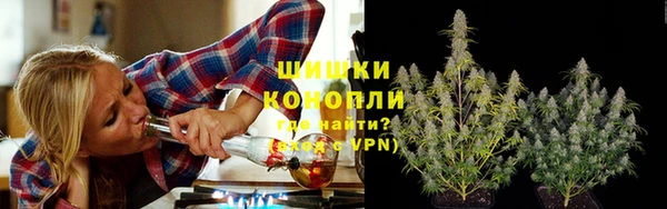 индика Нефтегорск