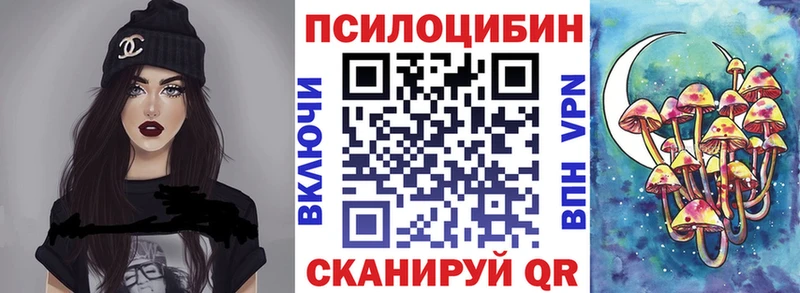Псилоцибиновые грибы Psilocybe  Купить где  Калязин 